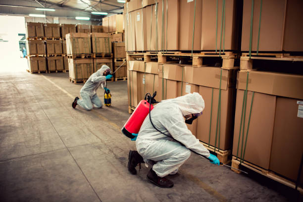 Best Best Pest Control Companies  in Bethlehem, PA