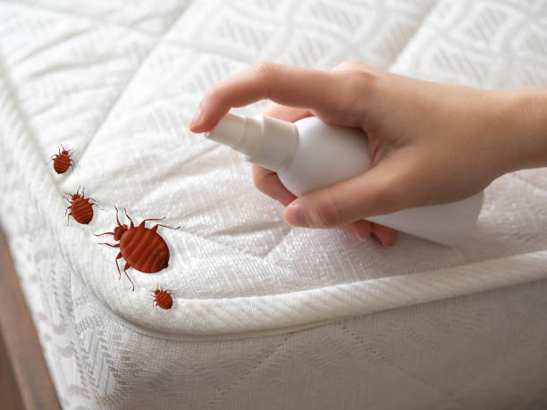 Best Emergency Pest Control  in Bethlehem, PA