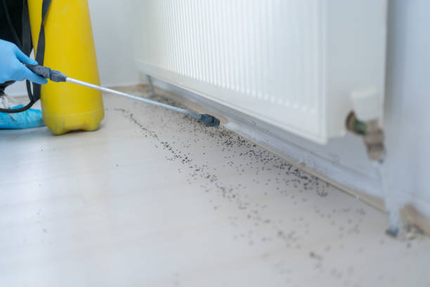 Best Cockroach Control Services  in Bethlehem, PA