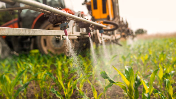 Reliable Bethlehem, PA Pest Control Solutions